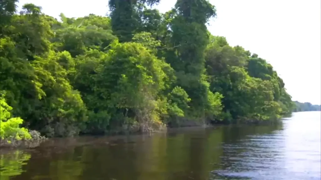 manu-cultural-zone-5d-4n