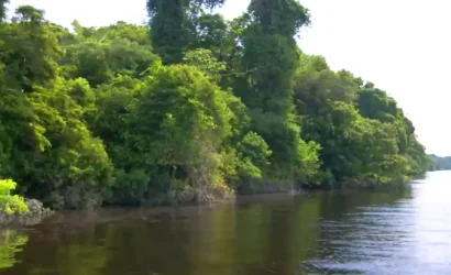 manu-cultural-zone-5d-4n