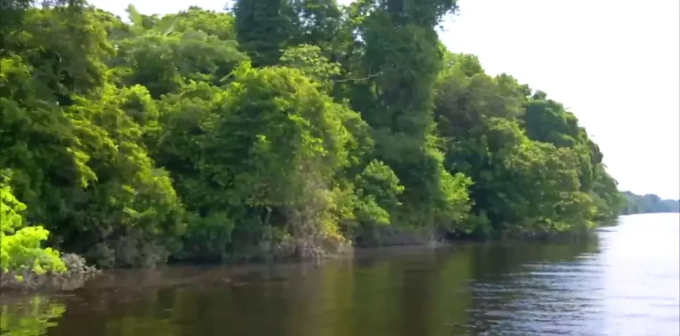 manu-cultural-zone-5d-4n