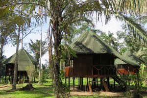 Peru Travel Jungle Soledad Classic