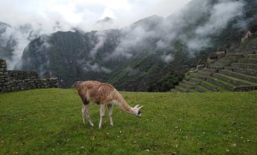 Peru Travel Machu Picchu Colorful