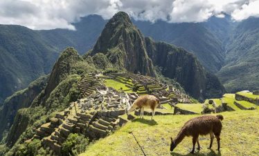 Perú Travel Roots of the Incas