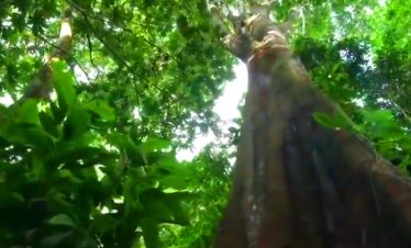 Peru Travel Jungle Soledad Classic