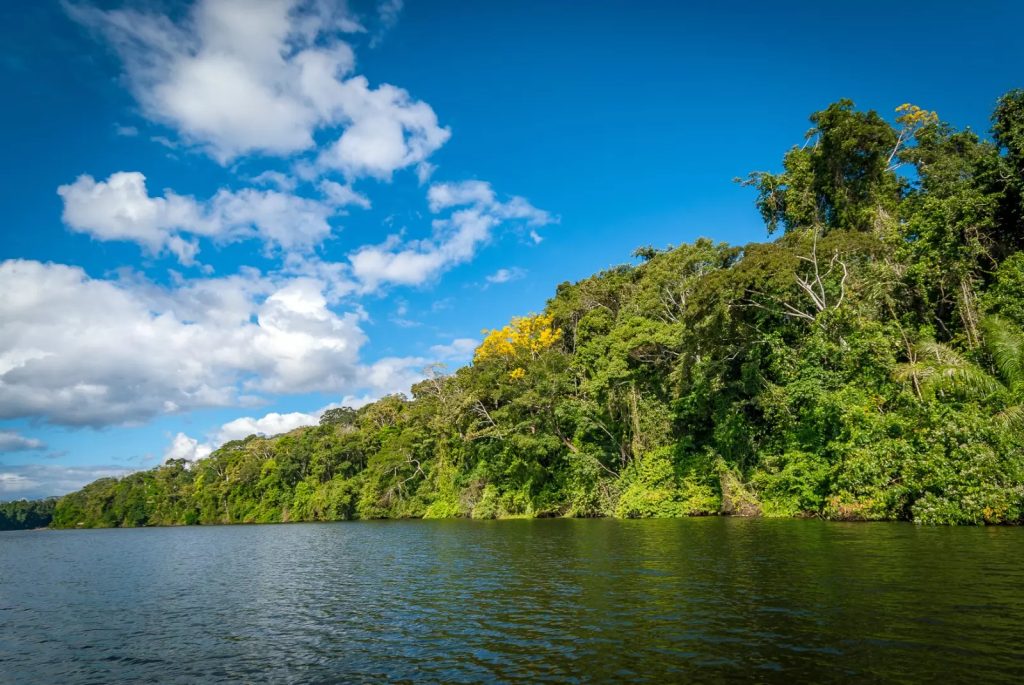 Manu National Park Fabulous