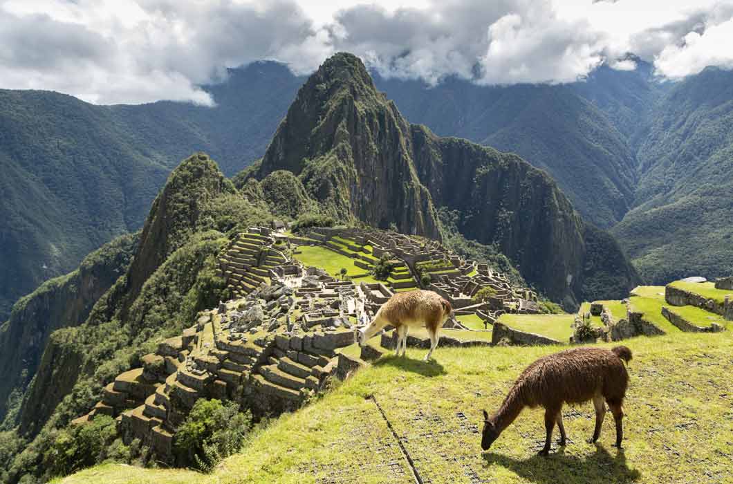 Machu Picchu Encantador