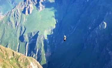 Colca Canyon Peru