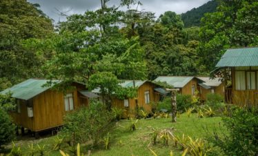 Manu National Park Peru