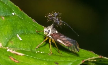 Sandoval Lake Lodge4