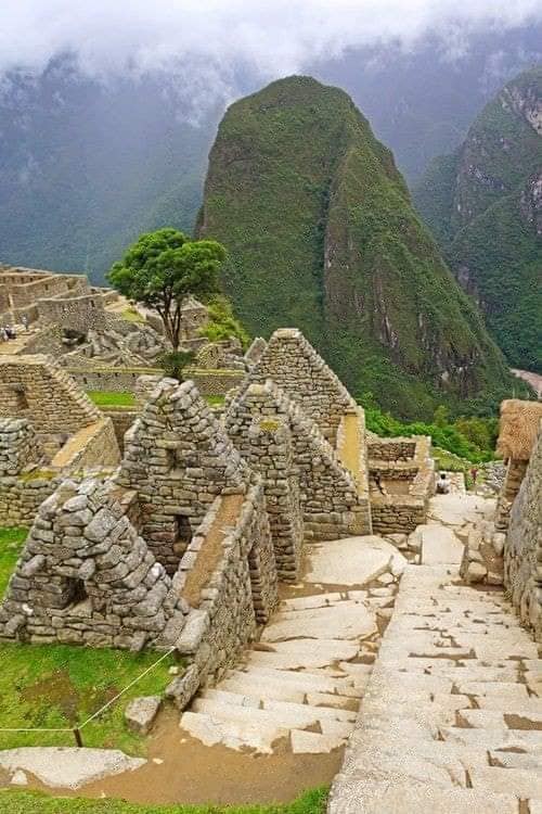 450387593 2578915198963308 3022544312443841562 n