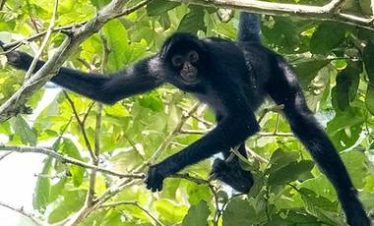 Peru Travel Jungle Soledad Lake 14