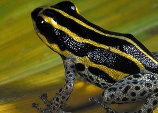 19944627 1593063374099865 8521075828829142956 o