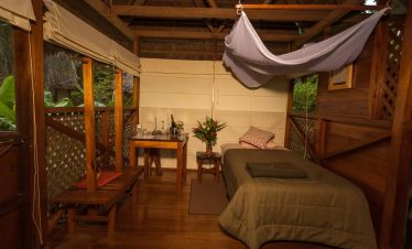 Manu National Park Packages 4