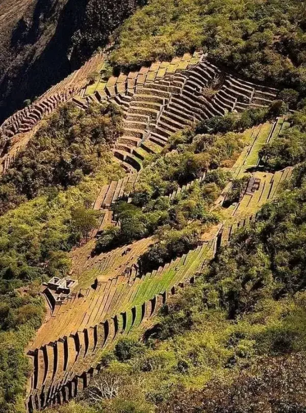 choquequirao-and-machu-picchu-special-3