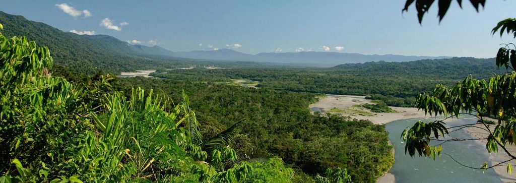 nature and wildlife experiences in peru 9