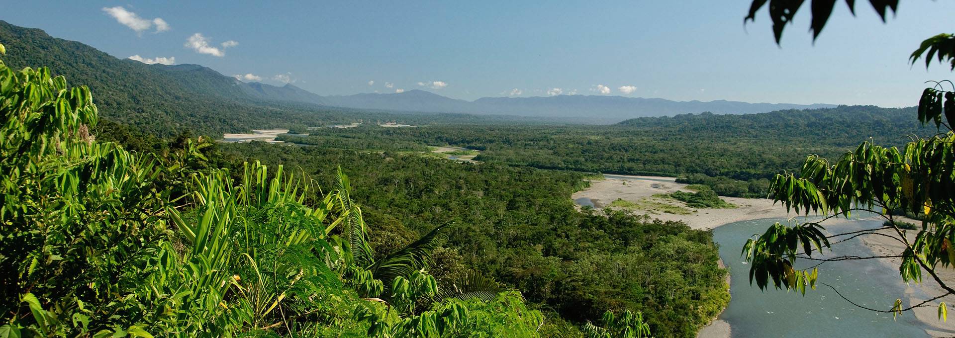 nature and wildlife experiences in peru 9