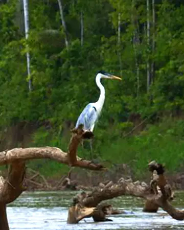 Expert Peru Travel Curators 2