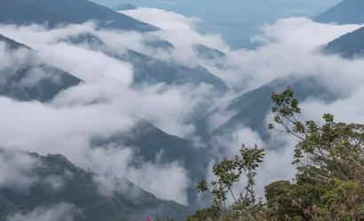 Journey to the Manu Cloud Forest 1