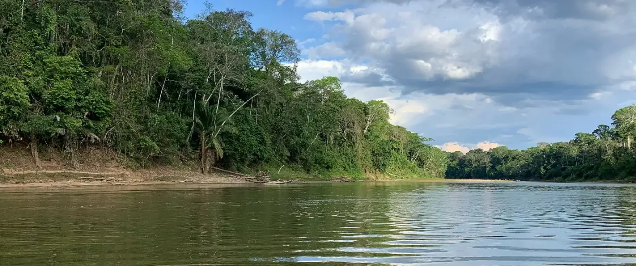 Quiet Jungle Lodge for 1–2 Guests to Disconnect in Nature 2