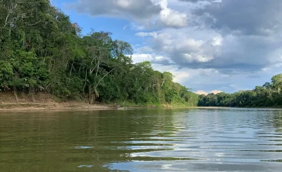 Quiet Jungle Lodge for 1–2 Guests to Disconnect in Nature 2